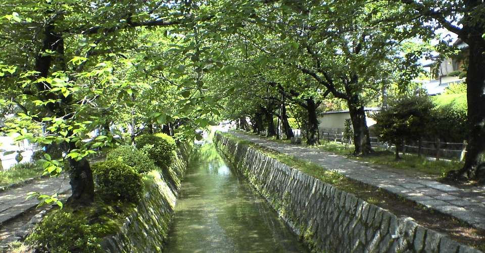 Rickshaw tour in Higashiyama, Kyoto - Very Project Inc - Japan - Image 11