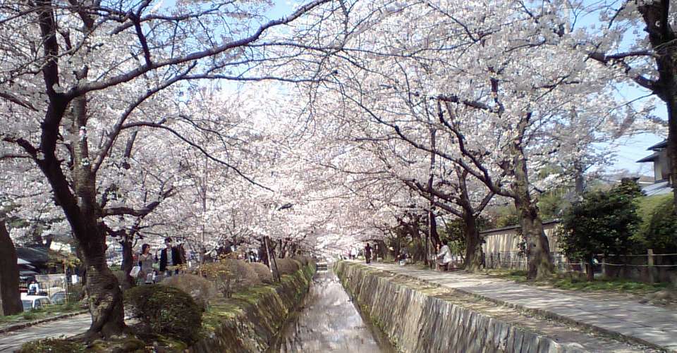 Rickshaw tour in Higashiyama, Kyoto - Very Project Inc - Japan - Image 12
