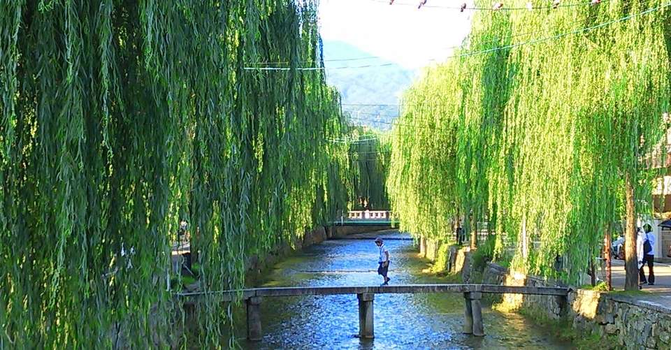 Rickshaw tour in Higashiyama, Kyoto - Very Project Inc - Japan - Image 13