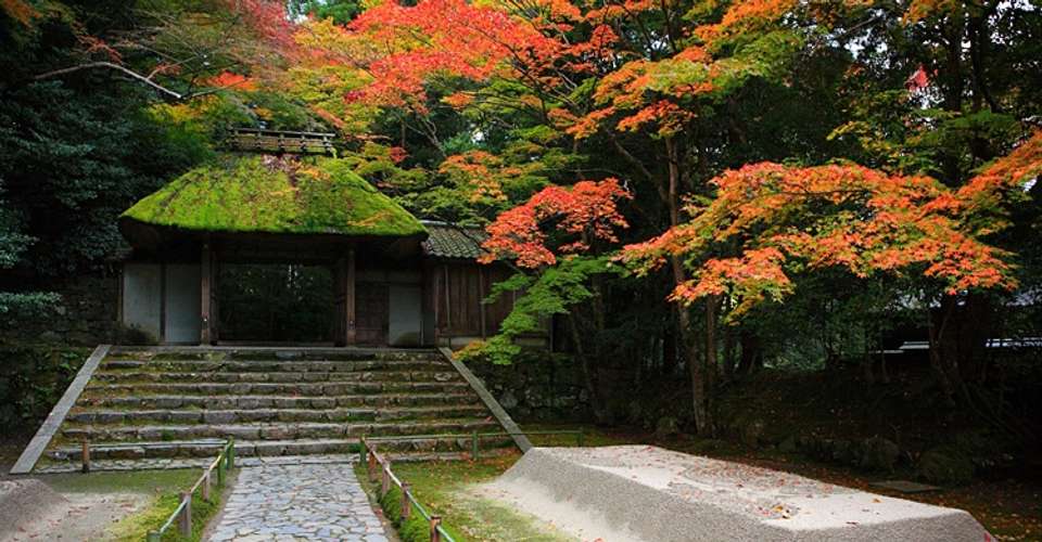 Rickshaw tour in Higashiyama, Kyoto - Very Project Inc - Japan - Image 14