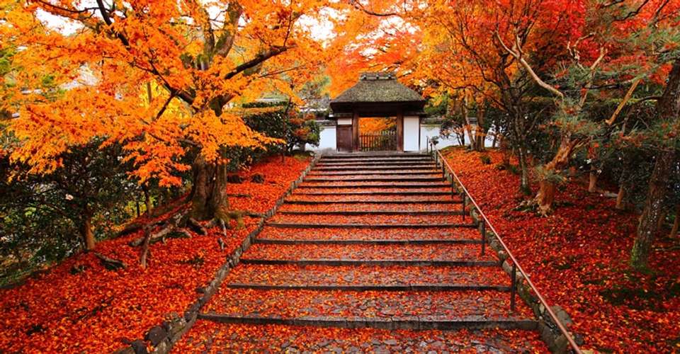 Rickshaw tour in Higashiyama, Kyoto - Very Project Inc - Japan - Image 15