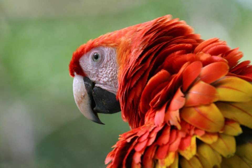 Rincon De La Vieja, Short Break (on Request) - Destination Services - Costa Rica