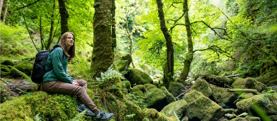 Ring of Kerry Walk - Utracks - Ireland - Image 1