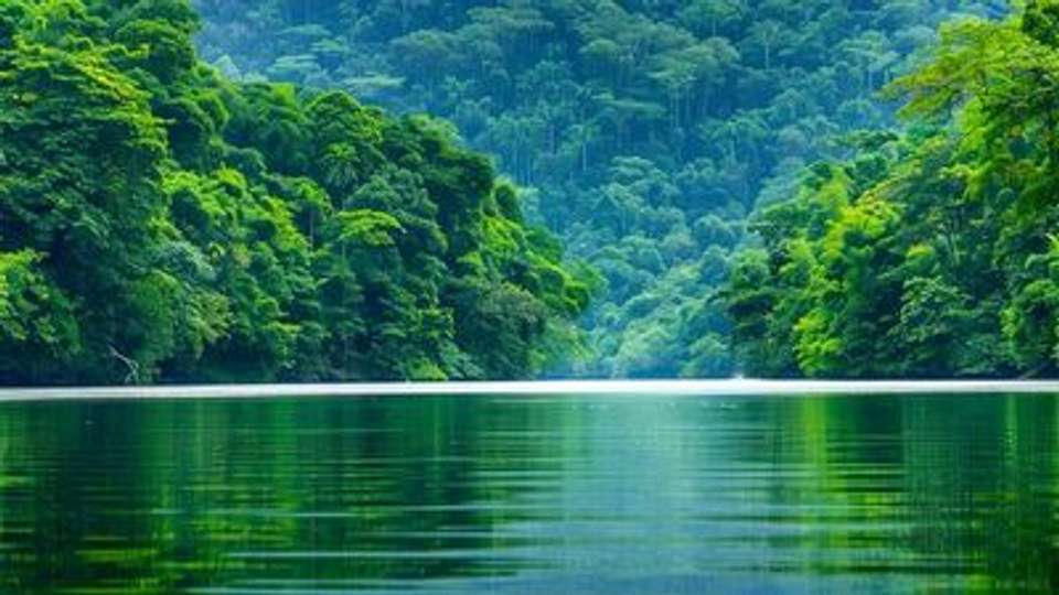 Rio de Janeiro and a cruise along the Amazon and the Rio Negro - An Exclusive Cruise through Pristine and Hidden Nature (port-to-port cruise) - undefined - Image 11