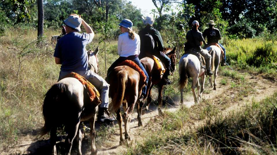 Rio de Janeiro, Iguassu Falls & Pantanal - Nattrip - Brazil - Image 6