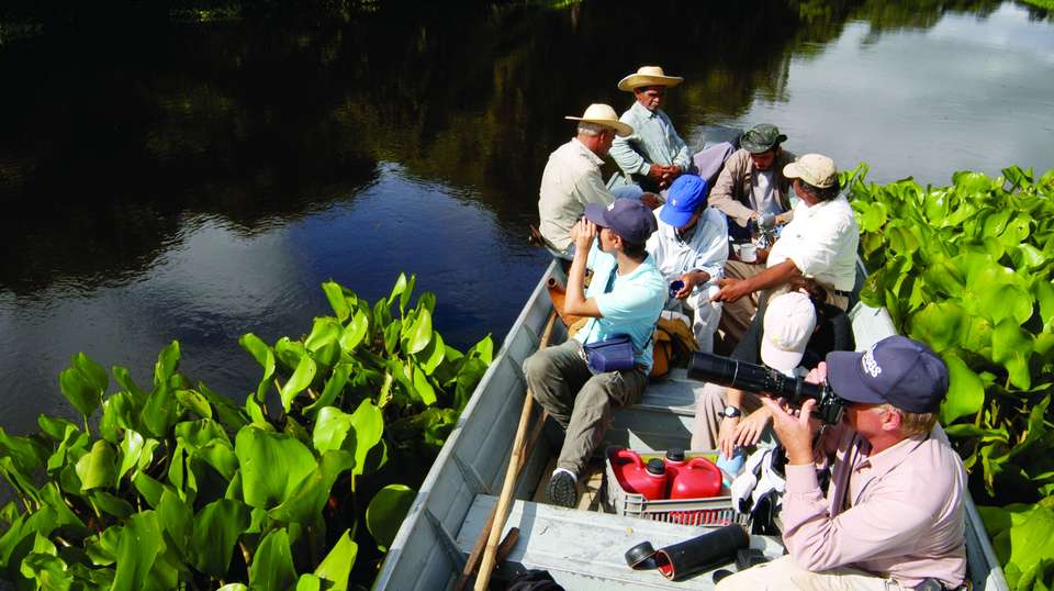 Rio de Janeiro, Iguassu Falls & Pantanal - Nattrip - Brazil - Image 7