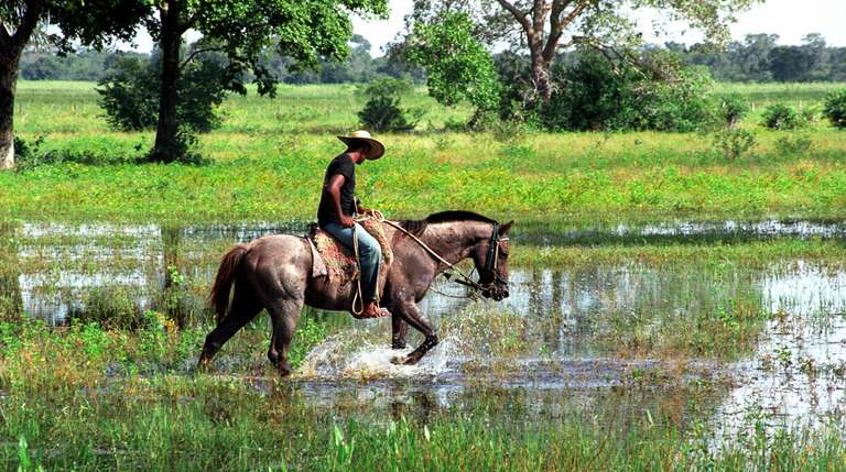 Rio de Janeiro, Iguassu Falls & Pantanal  trip - alternative tour available