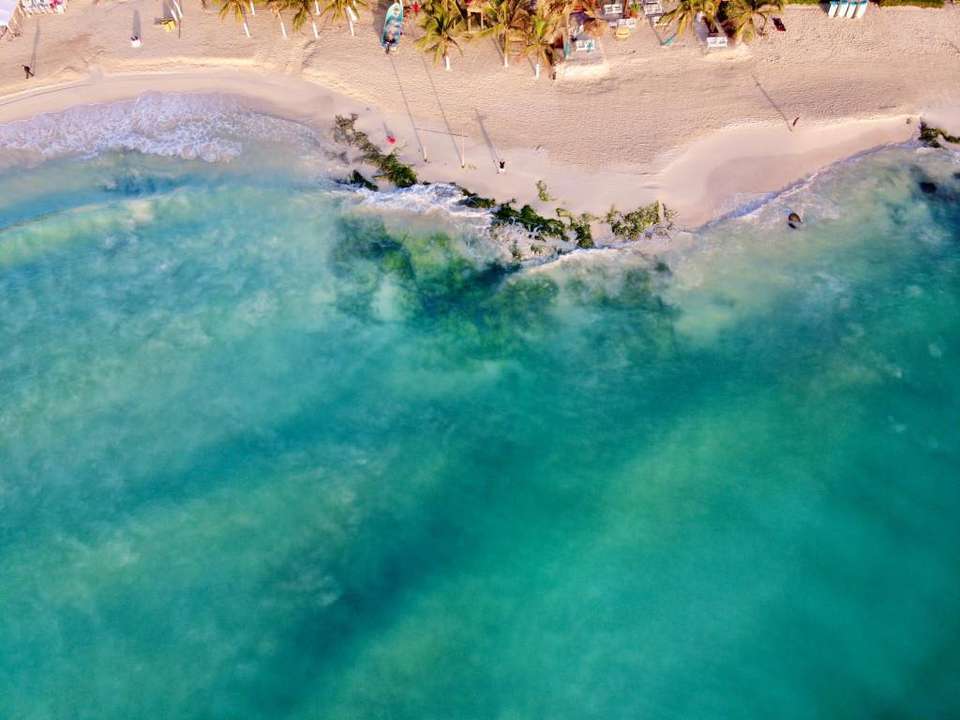 Riviera Maya Adventure 7D/6N - Bamba - Mexico - Image 4