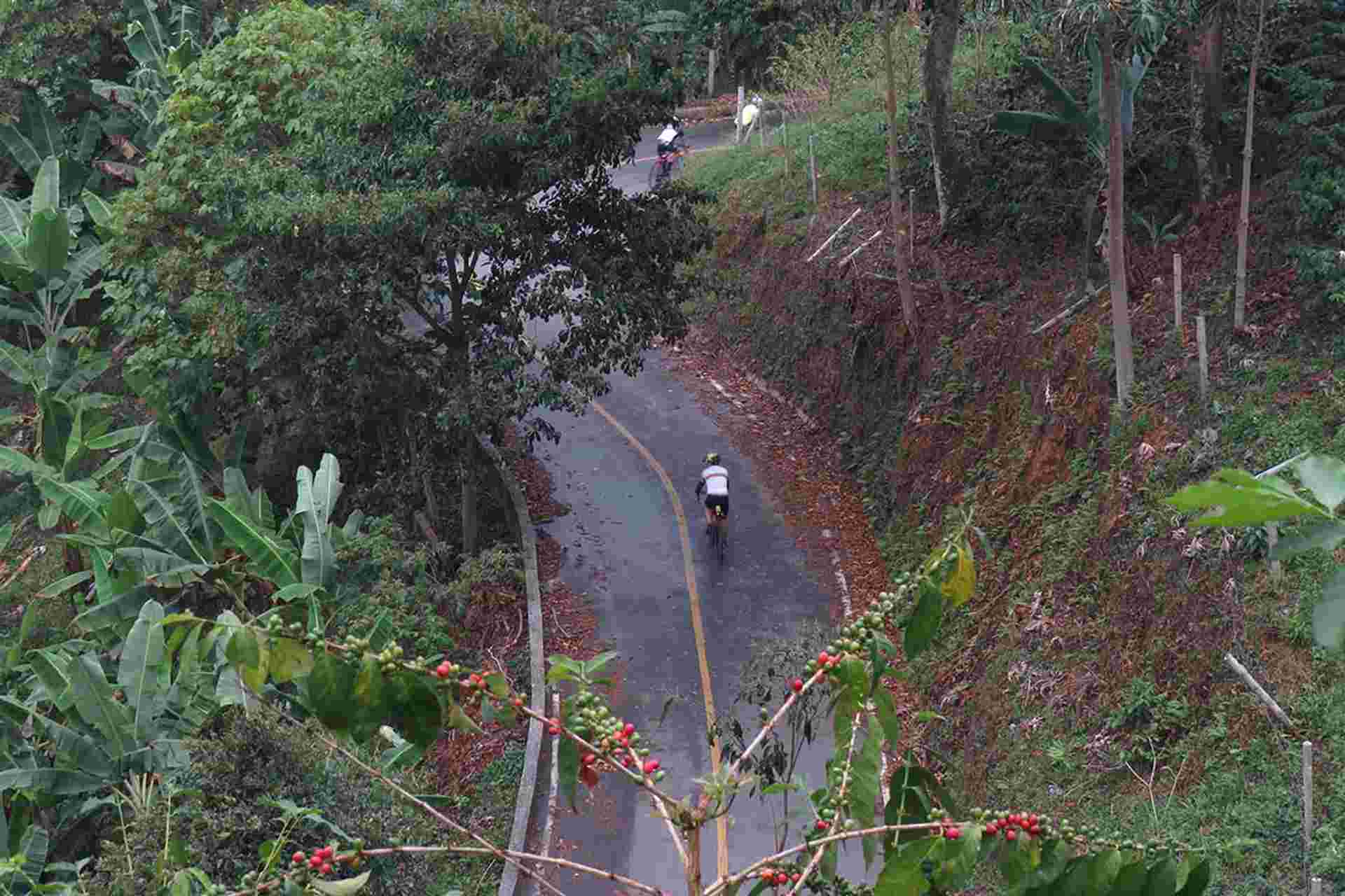Road Cycling Colombia: Cali to Coffee Paradise