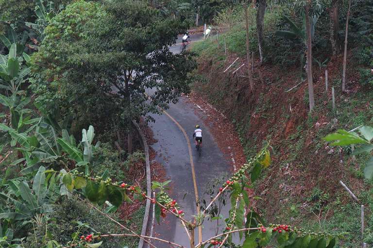 Road Cycling Colombia: Cali to Coffee Paradise trip - alternative tour available