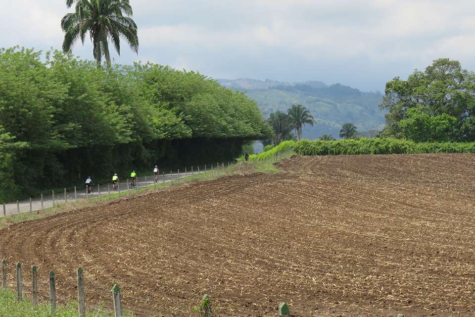 Road Cycling Colombia: Cali to Coffee Paradise - Spiceroads - Colombia - Image 2