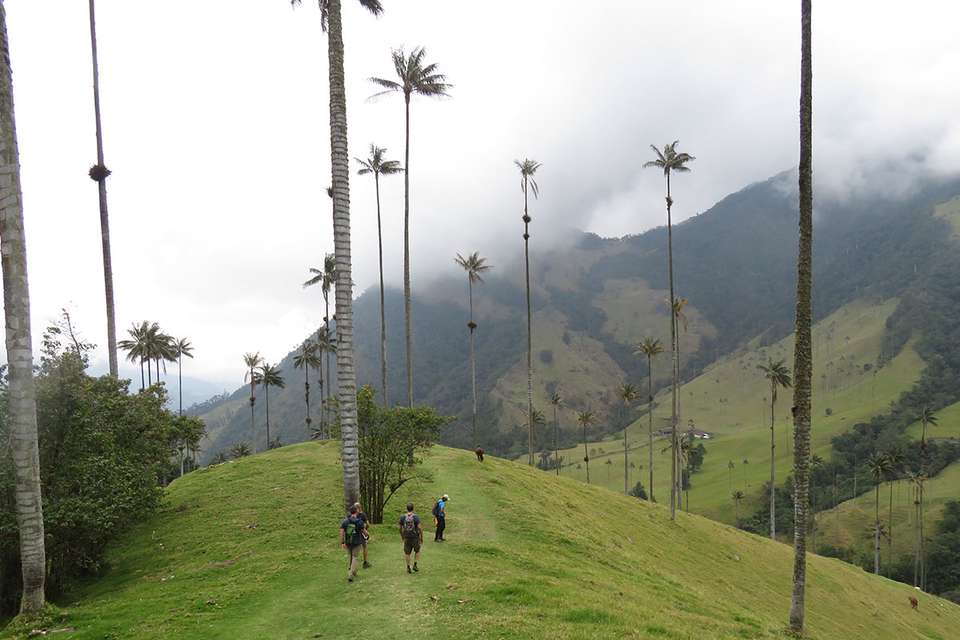 Road Cycling Colombia: Cali to Coffee Paradise - Spiceroads - Colombia - Image 10