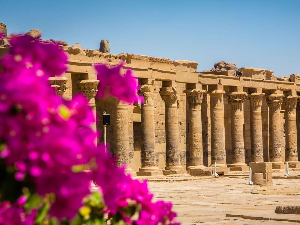 Road to Jordan with Cruise - 16 days - On The Go Tours - Egypt - Image 3