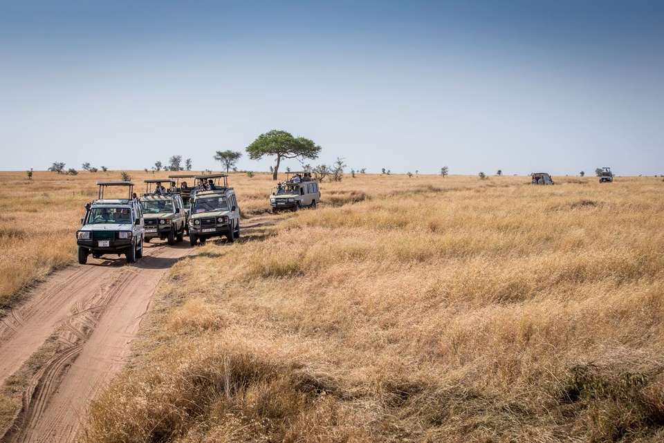 Road to Zanzibar - Intrepid Travel - Kenya - Image 14