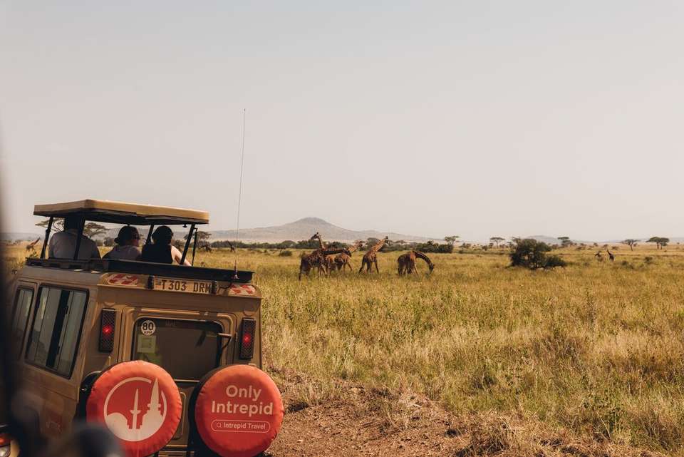 Road to Zanzibar - Intrepid Travel - Kenya - Image 7