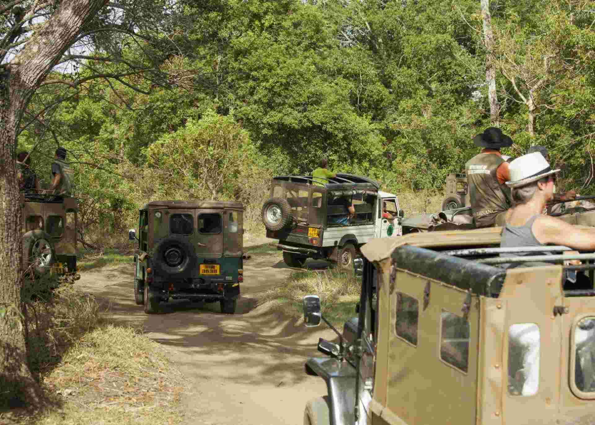 Roaming Rwanda, Option B (on Request)