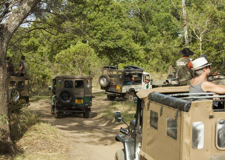 Roaming Rwanda, Option B (on Request) trip - alternative tour available