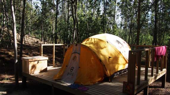 Image 4 of 4