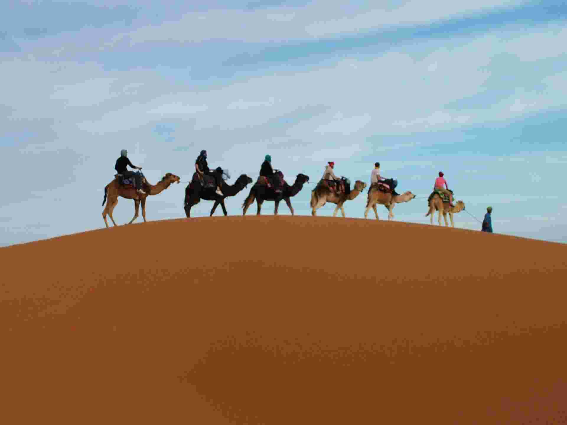 Rock the Kasbah - 10 Days