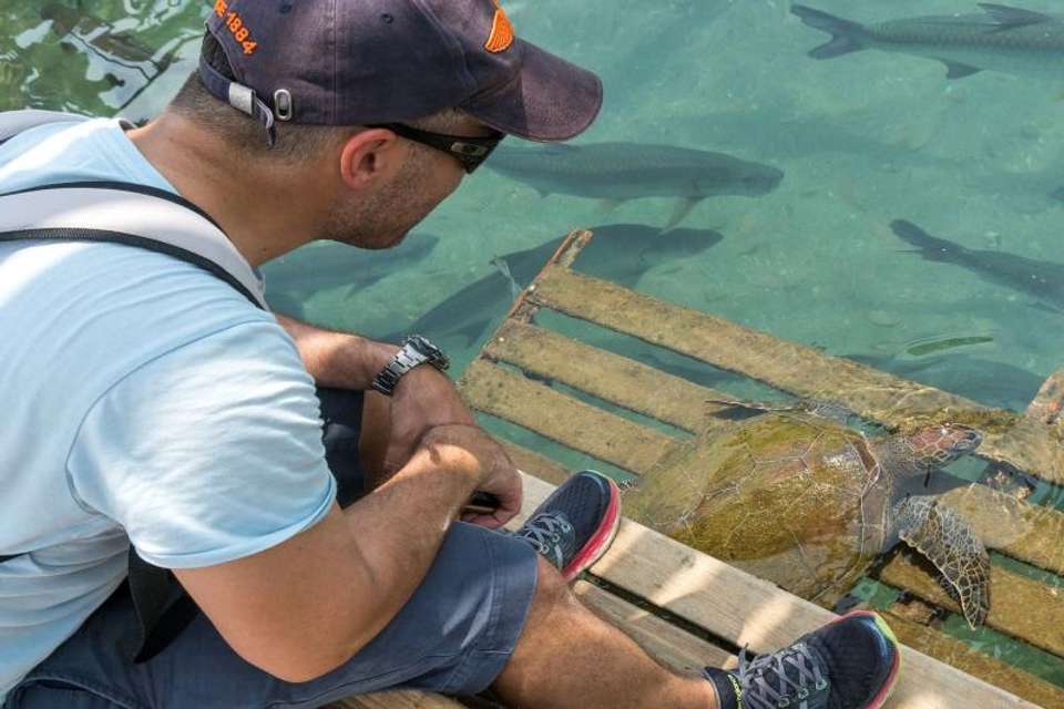 Rodadero, Aquarium and Playa Blanca Tour - Tangol Tours - Colombia - Image 5