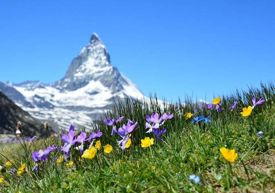 Romantic Italy to Swiss Alpine by Rail - Indus Travels - Italy - Image 2