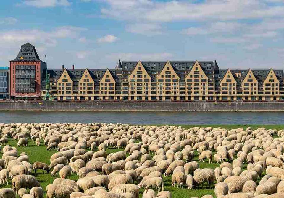 Romantic Rhine Cruise - Indus Travels - Germany - Image 4