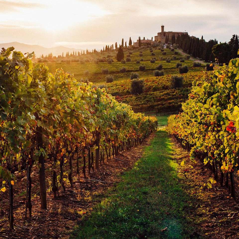Rome and Tuscan Highlights - Trafalgar - Italy - Image 6
