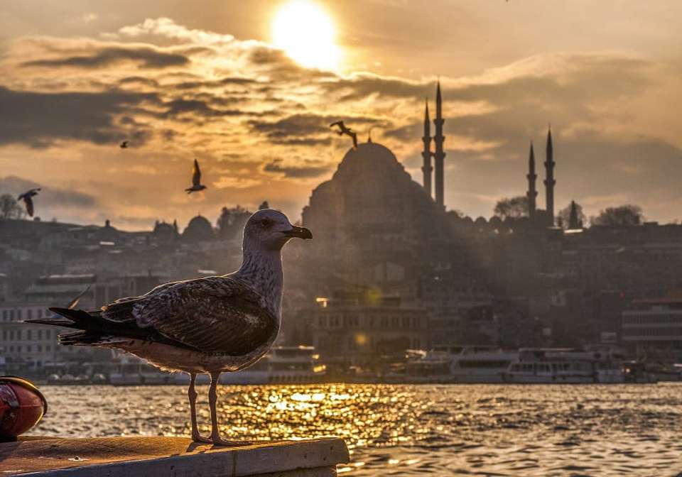 Rome Athens and Istanbul City Package - Indus Travels - Italy - Image 2