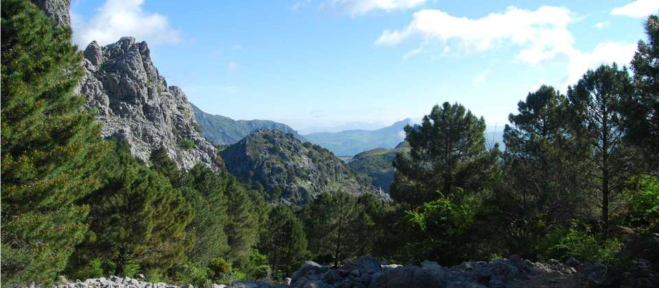 Ronda and the Sierra de Grazalema - Utracks - Spain - Image 9