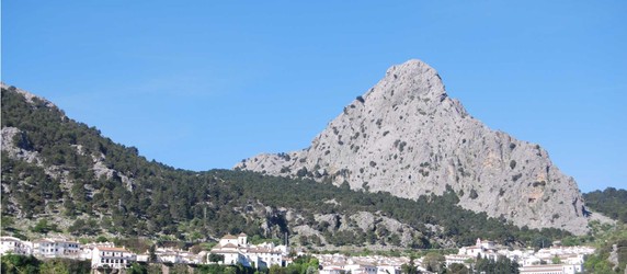 Image 4 of 8