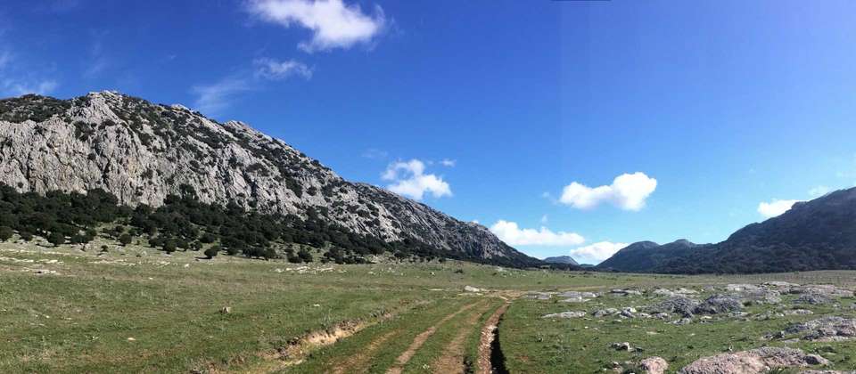 Ronda and the Sierra de Grazalema by Bike - Utracks - Spain - Image 5