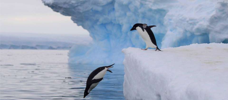 Ross Sea - Footsteps of Scott & Shackleton - undefined - Image 11