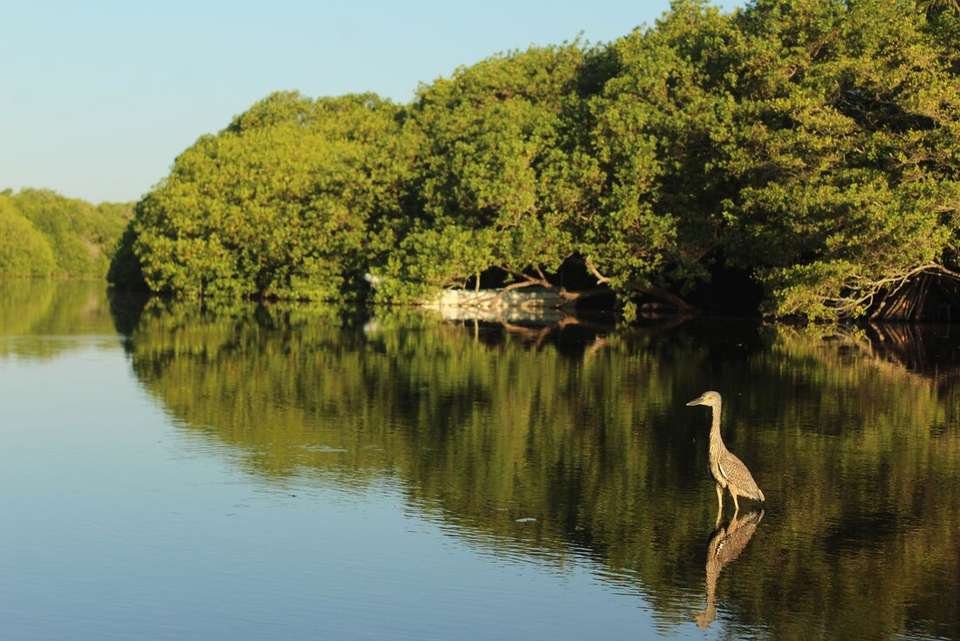Route of the Maya - Intrepid Travel - Mexico - Image 19