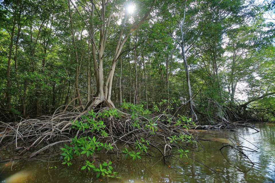Route of the Maya - Intrepid Travel - Mexico - Image 9