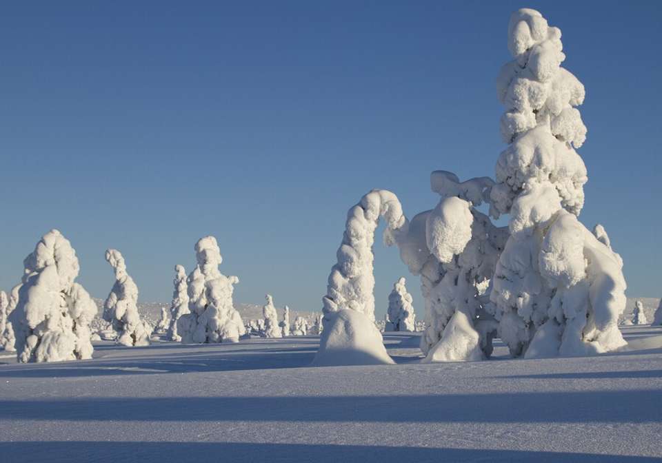 Rovaniemi Winter Experience - Indus Travels - Finland