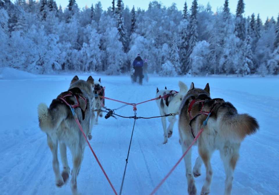 Rovaniemi Winter Experience - Indus Travels - Finland