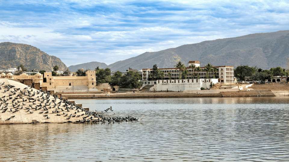 Royal Rajasthan - Indus Travels - India - Image 5