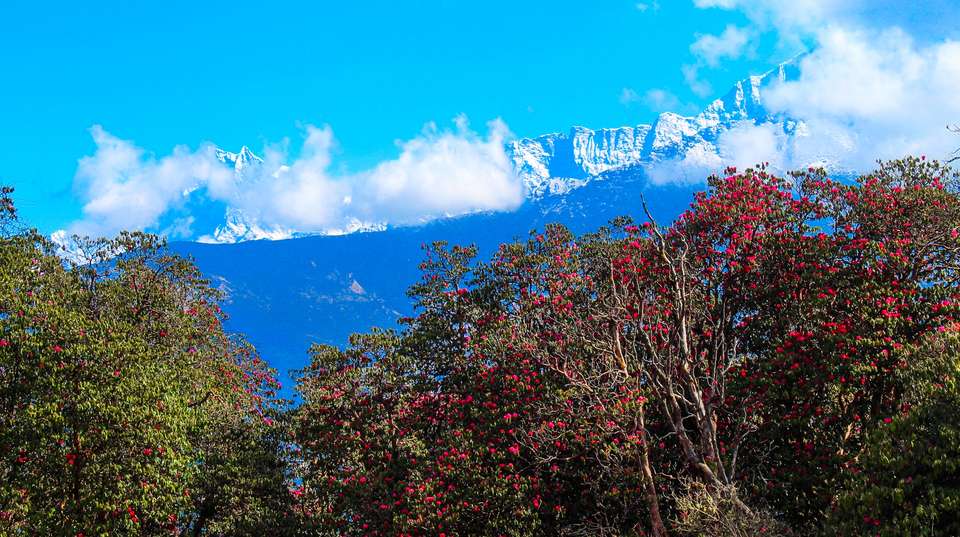 Ruby Valley Ganesh Himal Trek / Pangsang Pass - Mount Adventure Holidays - Nepal - Image 2