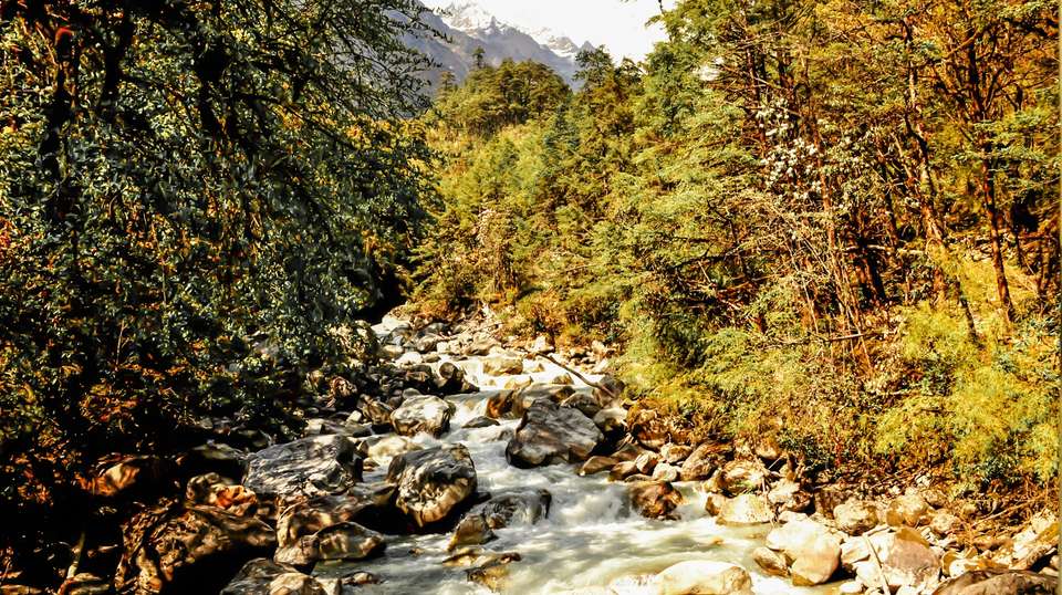 Ruby Valley Ganesh Himal Trek / Pangsang Pass - Mount Adventure Holidays - Nepal - Image 5