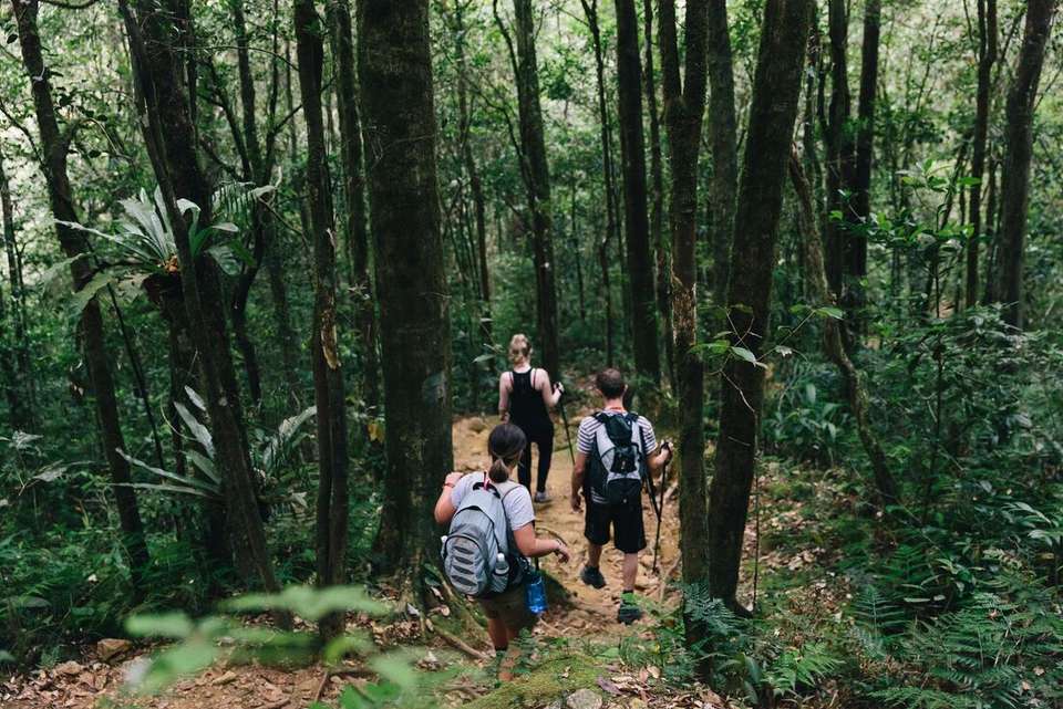 Sabah Adventure - Intrepid Travel - Malaysia - Image 3