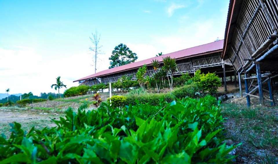 Sabah Highlights Adventure 7D/6N - Bamba - Malaysia - Image 2