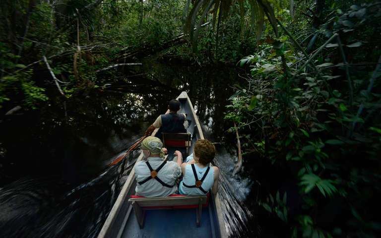 Sacha Lodge Add-on Tour trip - alternative tour available