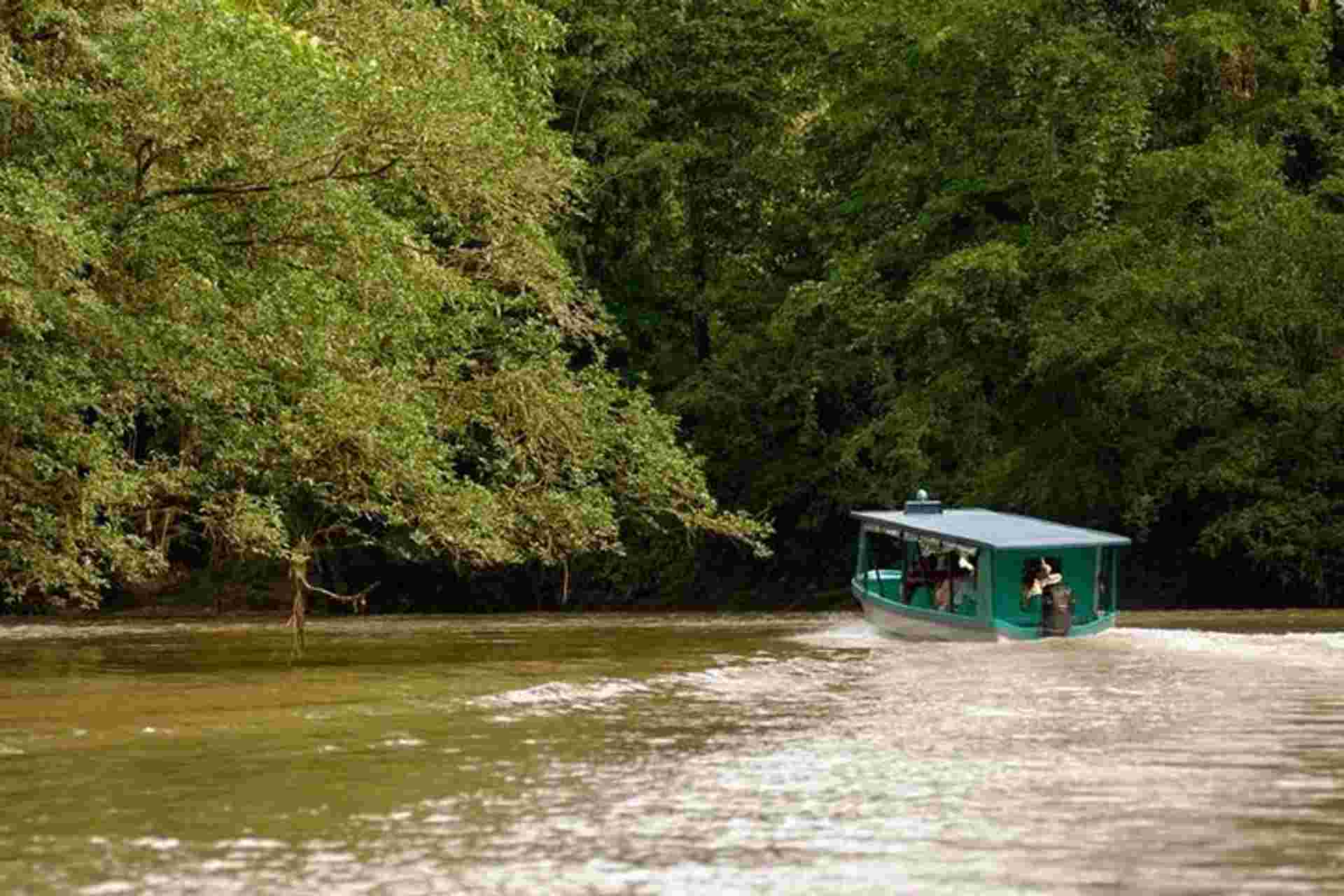 Safari Boat On Sarapiqui River With Lunch From San Jose