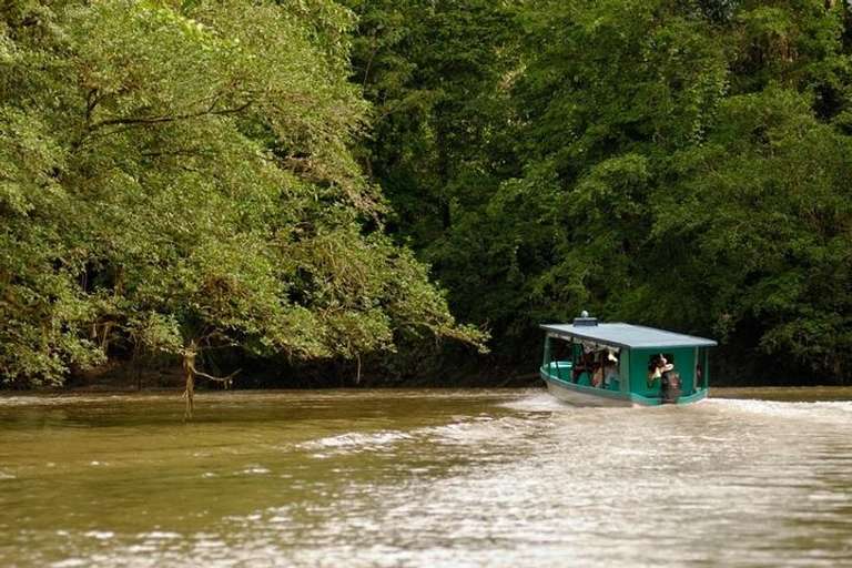 Safari Boat On Sarapiqui River With Lunch From San Jose - 7 hours