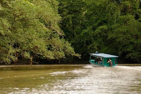 Costa Rica Bus Tour: Safari Boat On Sarapiqui River With Lunch From San Jose
