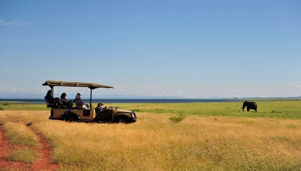 Safari Cruise along the Zambezi River - South Africa, Botswana, Namibia, Zimbabwe (port-to-port cruise) - Croisieurope - South Africa - Image 3