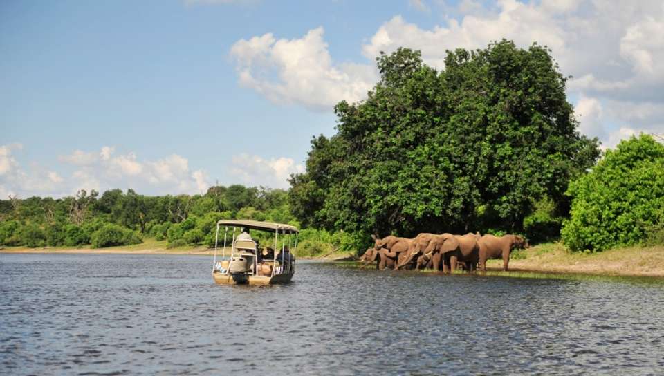Safari Cruise along the Zambezi River - South Africa, Botswana, Namibia, Zimbabwe (port-to-port cruise) - Croisieurope - South Africa - Image 5