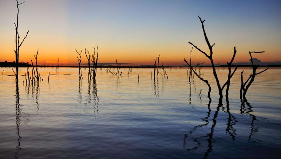 Safari Cruise along the Zambezi River - South Africa, Botswana, Namibia, Zimbabwe (port-to-port cruise) - Croisieurope - South Africa - Image 6