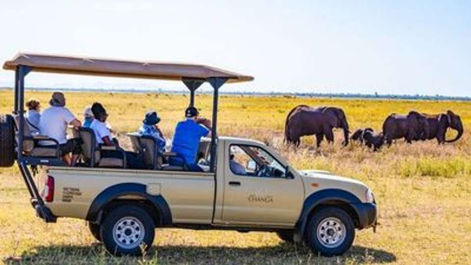 Safari Cruise along the Zambezi River - South Africa, Botswana, Namibia, Zimbabwe (port-to-port cruise) - Croisieurope - South Africa - Image 5