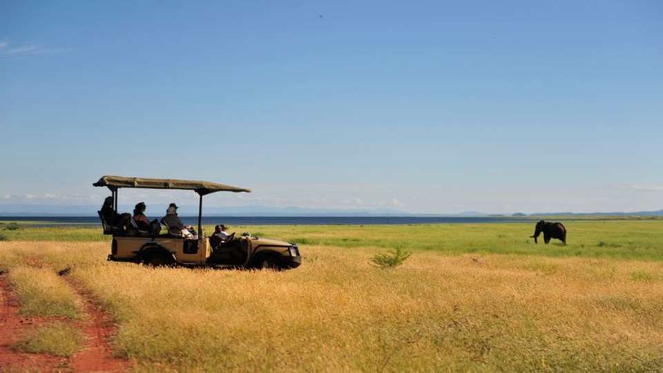 Safari Cruise along the Zambezi River - South Africa, Botswana, Namibia, Zimbabwe (port-to-port cruise) - Tweet World Travel - South Africa - Image 3